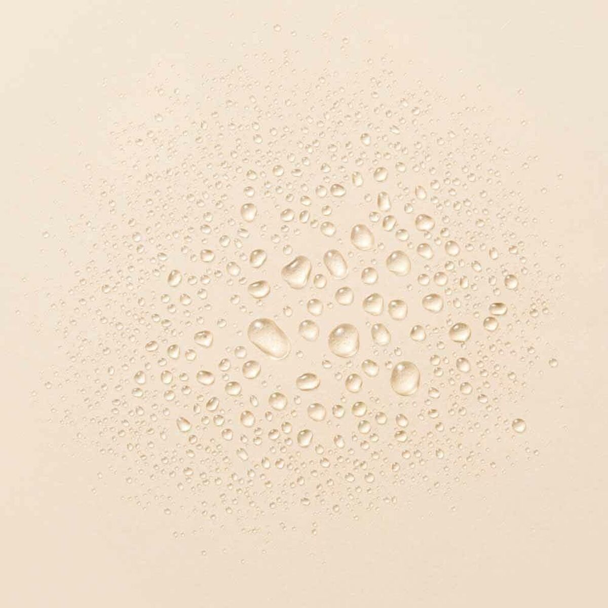 V5HB2F9526727CCA7C67889DCA5C48E9CF9R5625681P2